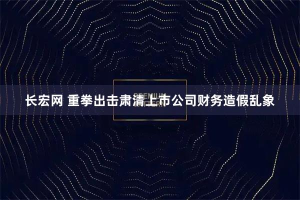 长宏网 重拳出击肃清上市公司财务造假乱象