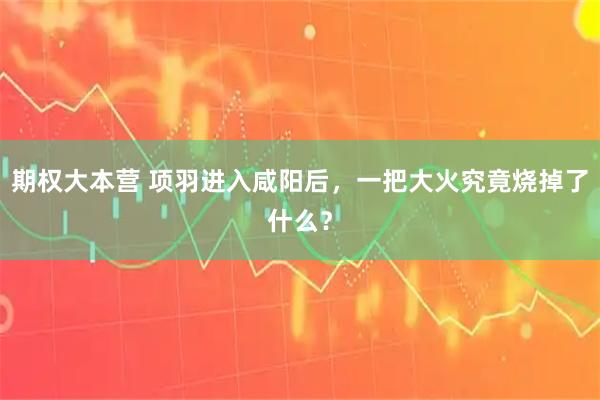 期权大本营 项羽进入咸阳后，一把大火究竟烧掉了什么？