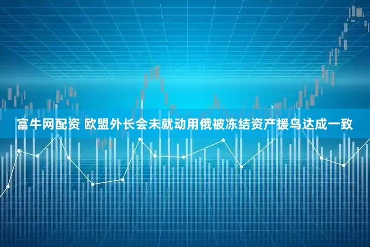 富牛网配资 欧盟外长会未就动用俄被冻结资产援乌达成一致